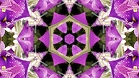 ؋sN`[