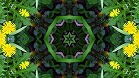 ؋sN`[