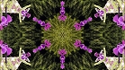 ؋sN`[