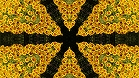 ؋sN`[