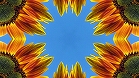 ؋sN`[