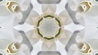 ؋sN`[