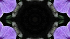 ؋sN`[