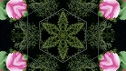 ؋sN`[
