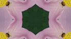 ؋sN`[