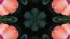 ؋sN`[