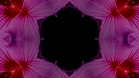 ؋sN`[