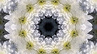 ؋sN`[