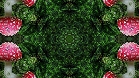 ؋sN`[