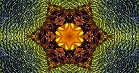؋sN`[