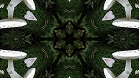 ؋sN`[