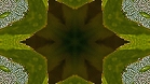 ؋sN`[
