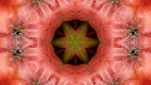 ؋sN`[