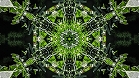 ؋sN`[