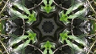 ؋sN`[