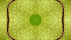 ؋sN`[