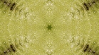 ؋sN`[