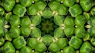 ؋sN`[