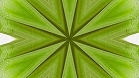 ؋sN`[