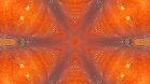 ؋sN`[