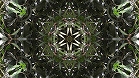 ؋sN`[