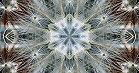 ؋sN`[