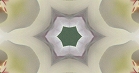 ؋sN`[