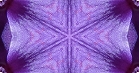 ؋sN`[