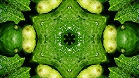 ؋sN`[