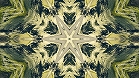 ؋sN`[