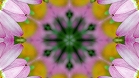 ؋sN`[