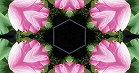 ؋sN`[