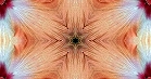 ؋sN`[