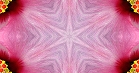 ؋sN`[