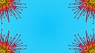 ؋sN`[