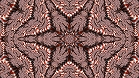 ؋sN`[