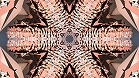 ؋sN`[