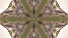؋sN`[