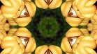 ؋sN`[