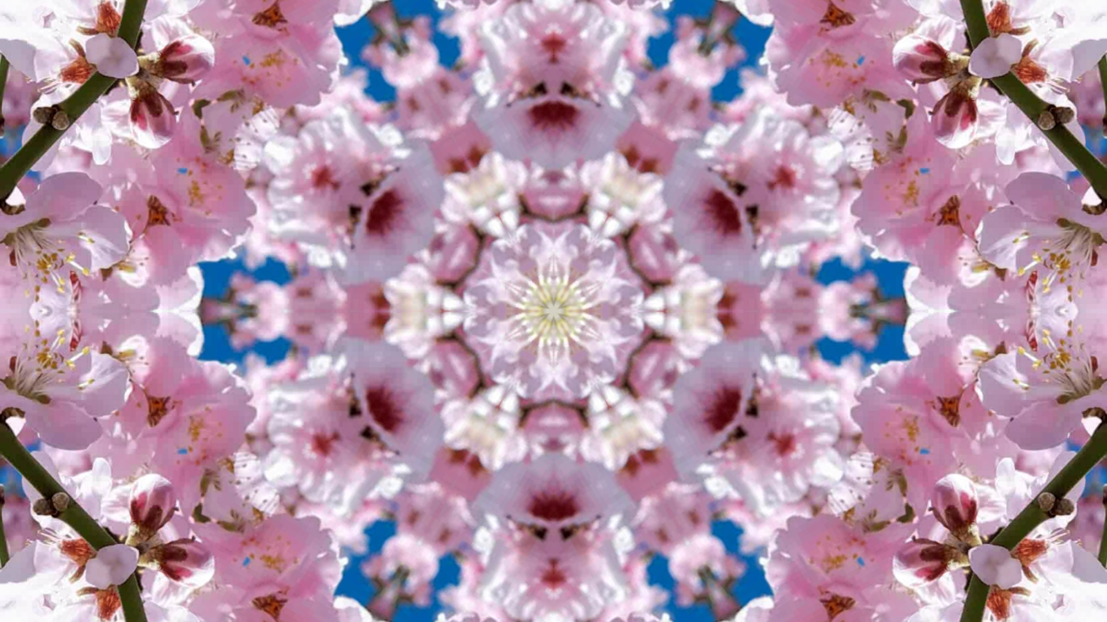 ؋sN`[